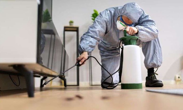 Pest Problems in Sunderland? Daily Habits to Avoid