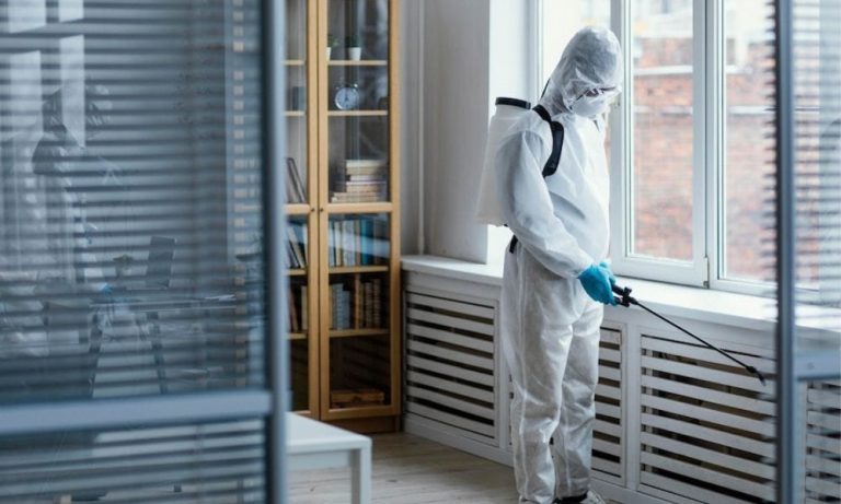 Natural Pest Control in Wolverhampton: Daily Solutions Found